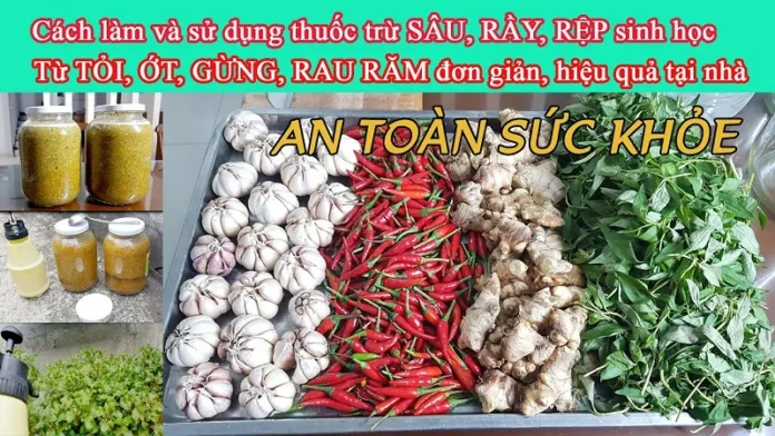 Cach-trong-hoa-qua-huu-co-khong-can-phai-dung-thuoc-tru-sau