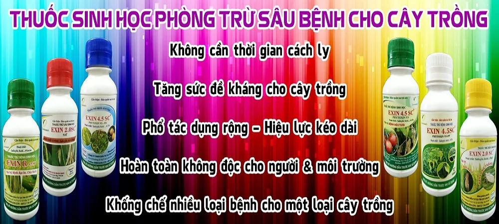 Cach-trong-hoa-qua-huu-co-khong-can-phai-dung-thuoc-tru-sau