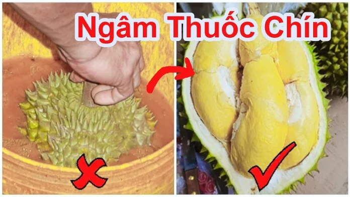 Phong-tranh-nguy-co-o-nhiem-hoa-chat-hoa-qua-huu-co