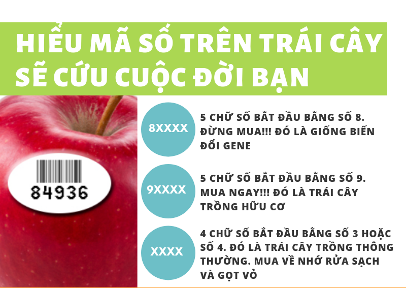 Nhung-bien-phap-tranh-thuoc-tru-sau-khi-mua-hoa-qua-huu-co