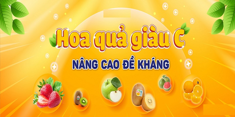 Chat-luong-giac-ngu-va-tam-anh-huong-cua-hoa-qua-huu-co