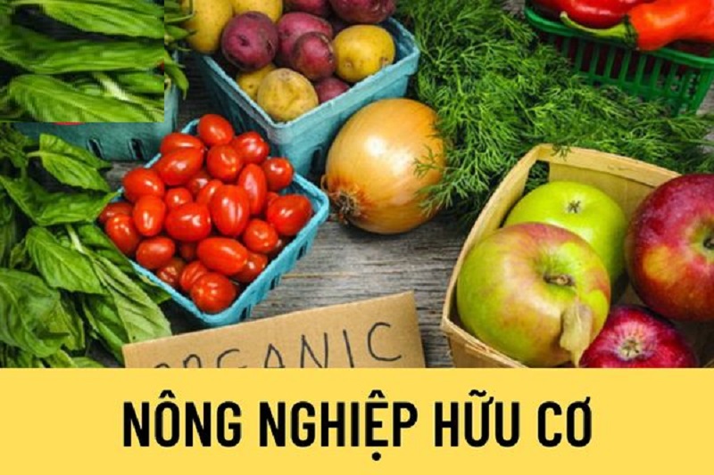 Nong-nghiep-huu-co-Giai-phap-cho-nen-nong-nghiep-ben-vung