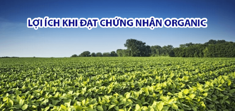 Tieu-chuan-chung-nhan-thuc-pham-huu-co-tai-Viet-Nam