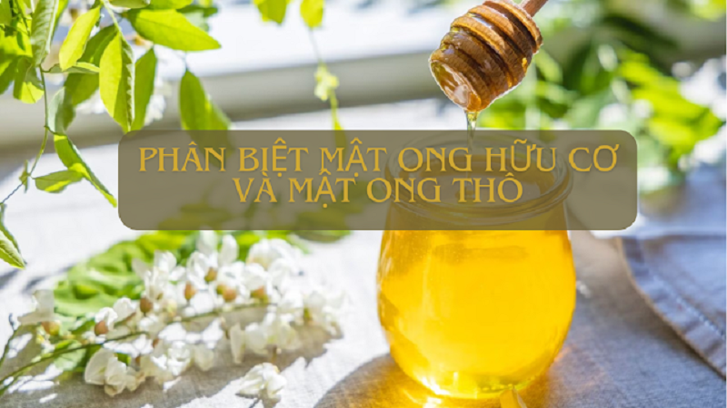 Mat-ong-huu-co-mon-qua-ngot-ngao-tu-thien-nhien